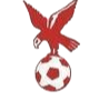 https://img.szxl.net/img/football/team/4802d26df935b78bb2fcdbbff36e8864.png